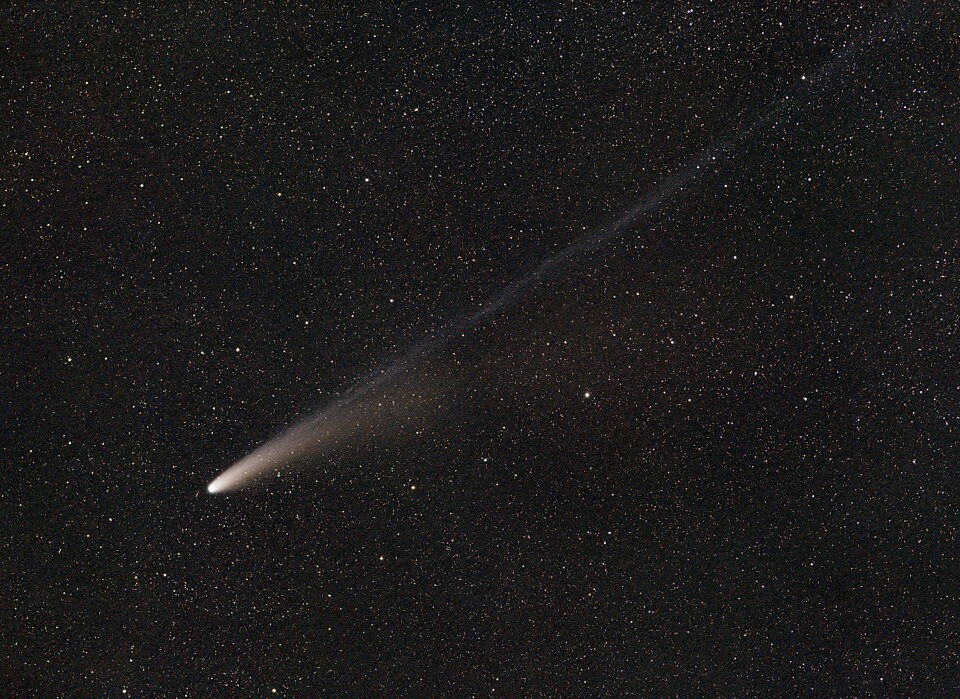 Αποτελέσματα Wiki Science Competition 2025